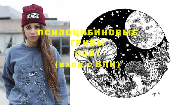 ECSTASY Алексеевка