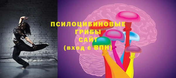 a pvp Аркадак