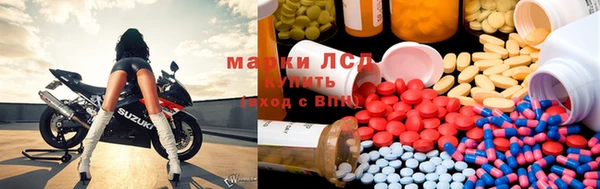 спиды Алзамай